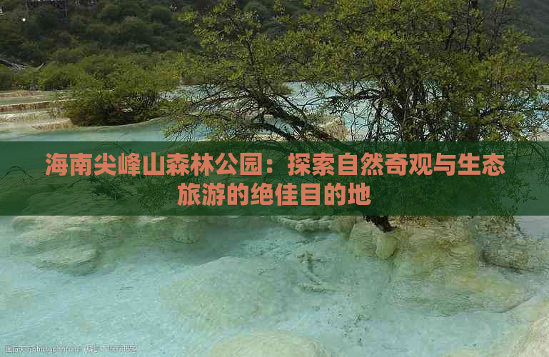 海南尖峰山森林公园：探索自然奇观与生态旅游的绝佳目的地