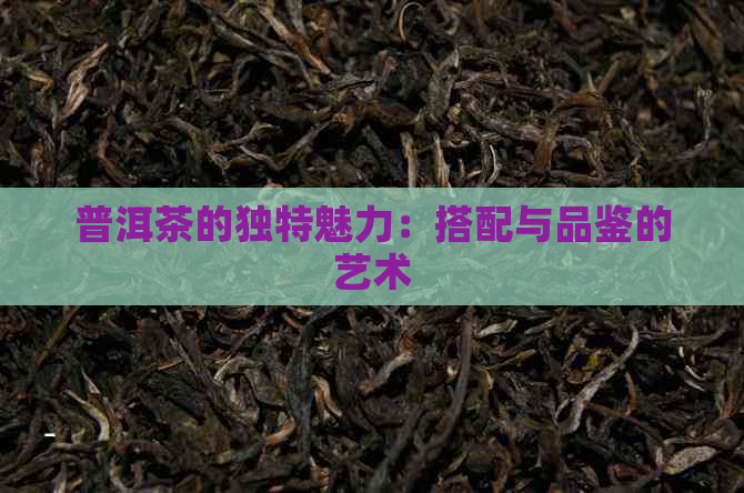 普洱茶的独特魅力：搭配与品鉴的艺术