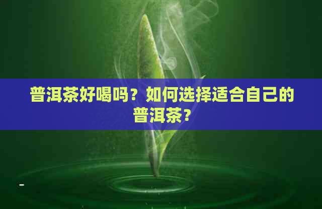 普洱茶好喝吗？如何选择适合自己的普洱茶？