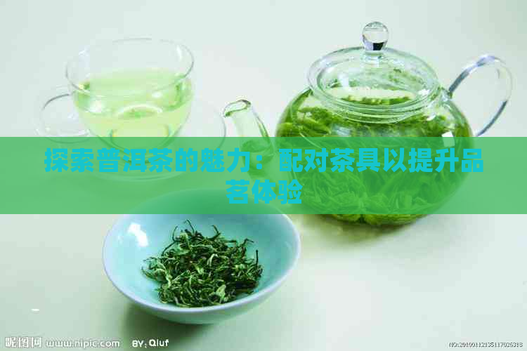 探索普洱茶的魅力：配对茶具以提升品茗体验