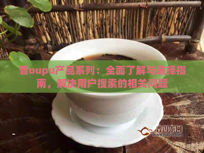 普oupu产品系列：全面了解与选择指南，解决用户搜索的相关问题