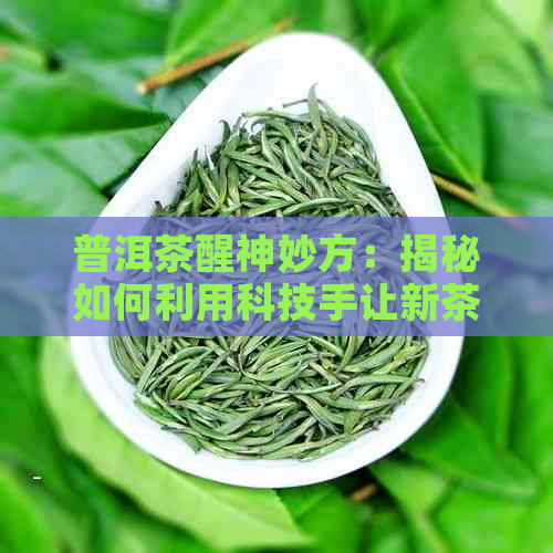 普洱茶醒神妙方：揭秘如何利用科技手让新茶叶恢复活力