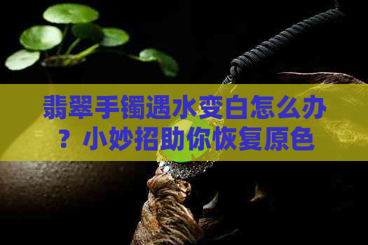 翡翠手镯遇水变白怎么办？小妙招助你恢复原色