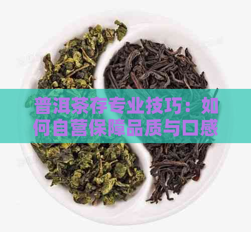 普洱茶存专业技巧：如何自营保障品质与口感