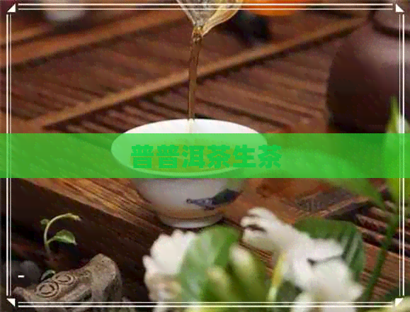 普普洱茶生茶