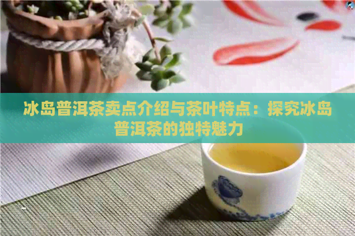 冰岛普洱茶卖点介绍与茶叶特点：探究冰岛普洱茶的独特魅力