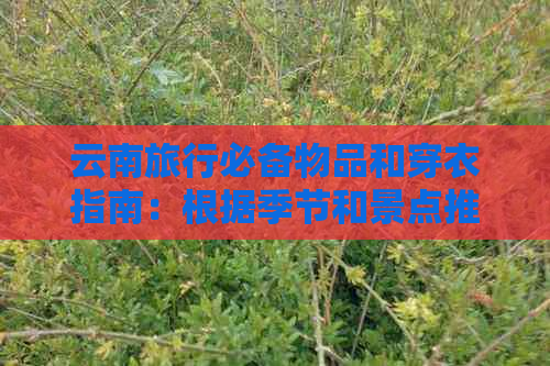 云南旅行必备物品和穿衣指南：根据季节和景点推荐的衣物清单