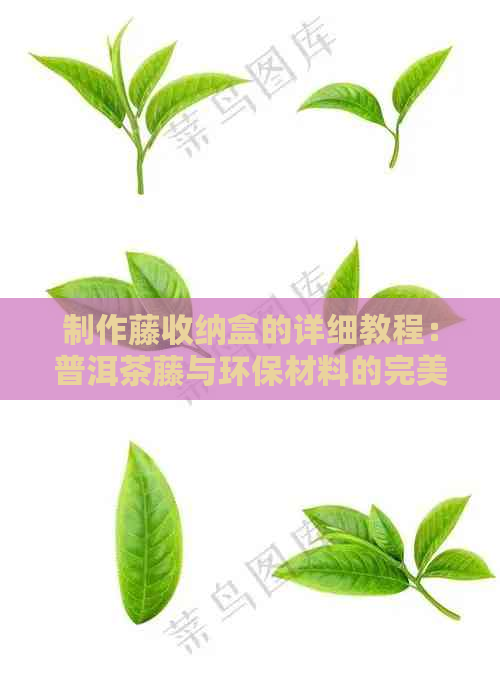 制作藤收纳盒的详细教程：普洱茶藤与环保材料的完美结合