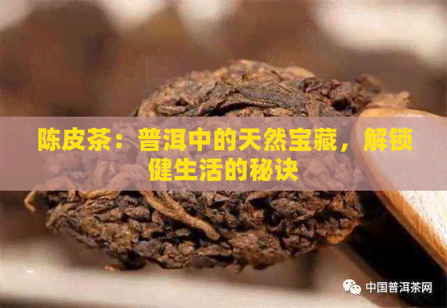 陈皮茶：普洱中的天然宝藏，解锁健生活的秘诀