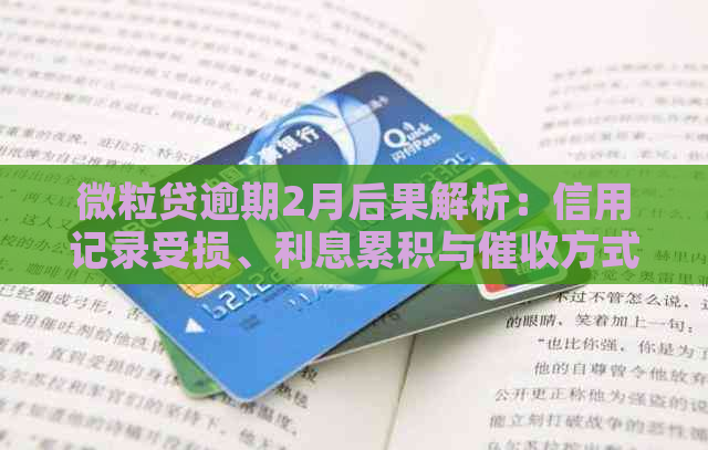 微粒贷逾期2月后果解析：信用记录受损、利息累积与方式