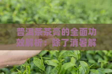 普洱茶茶膏的全面功效解析：除了消暑解渴还有哪些健益处？