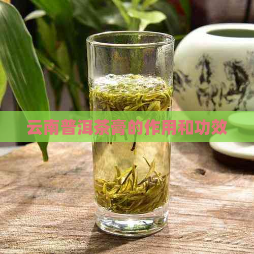 云南普洱茶膏的作用和功效