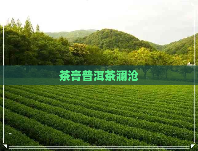 茶膏普洱茶澜沧