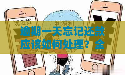 逾期一天忘记还款应该如何处理？全面解决用户相关问题