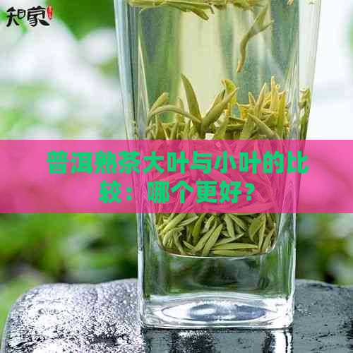 普洱熟茶大叶与小叶的比较：哪个更好？