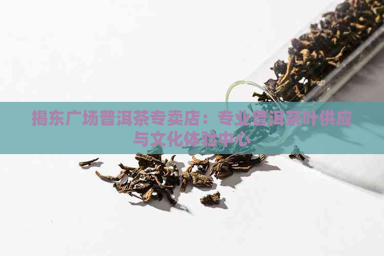 揭东广场普洱茶专卖店：专业普洱茶叶供应与文化体验中心