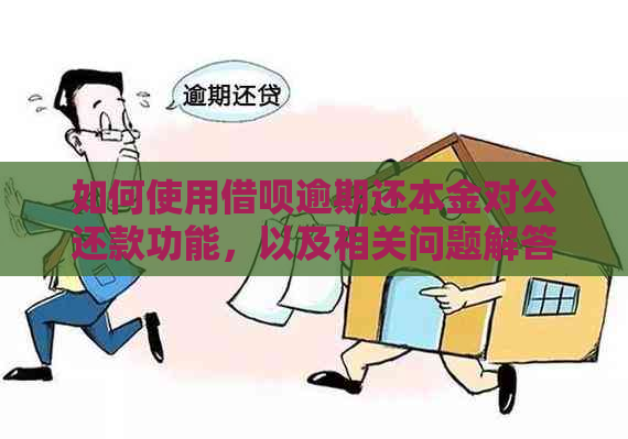 如何使用借呗逾期还本金对公还款功能，以及相关问题解答