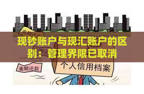 现钞账户与现汇账户的区别：管理界限已取消