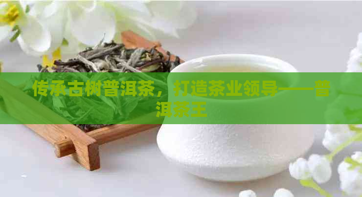 传承古树普洱茶，打造茶业领导——普洱茶王