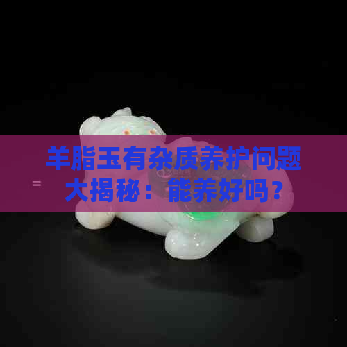 羊脂玉有杂质养护问题大揭秘：能养好吗？