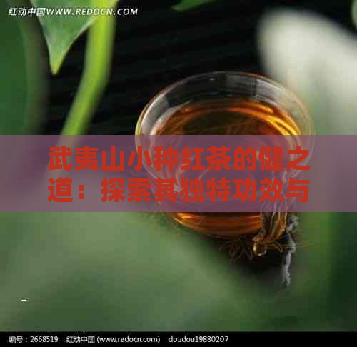 武夷山小种红茶的健之道：探索其独特功效与作用