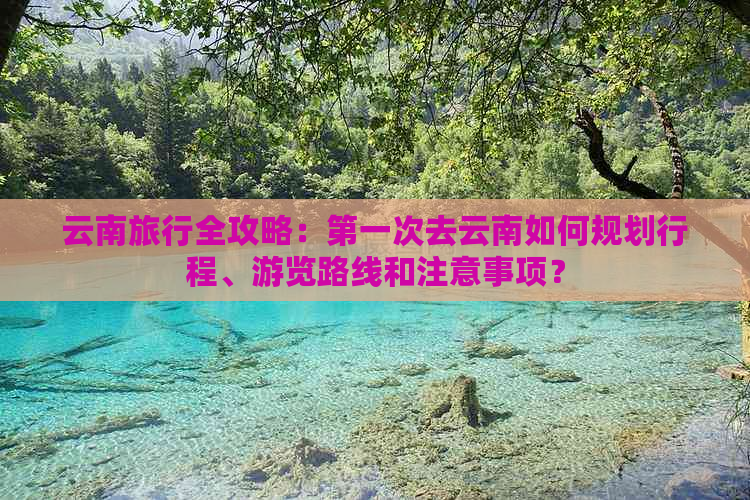 云南旅行全攻略：之一次去云南如何规划行程、游览路线和注意事项？