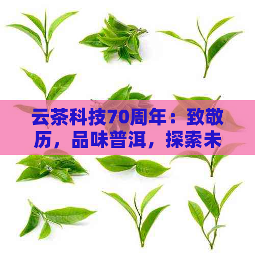 云茶科技70周年：致敬历，品味普洱，探索未来