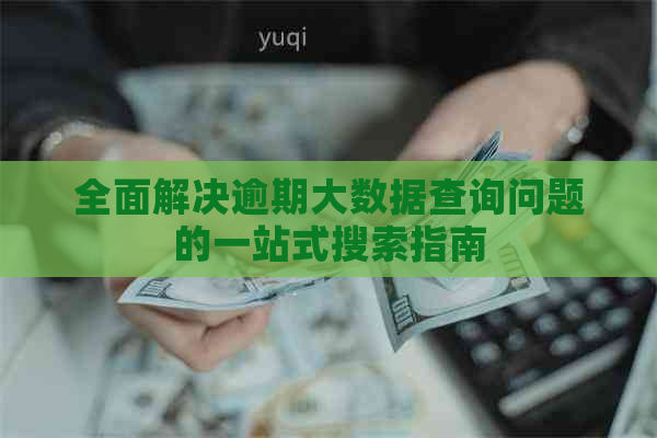 全面解决逾期大数据查询问题的一站式搜索指南