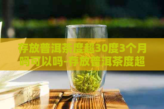 存放普洱茶度超30度3个月吗可以吗-存放普洱茶度超30度3个月吗可以吗