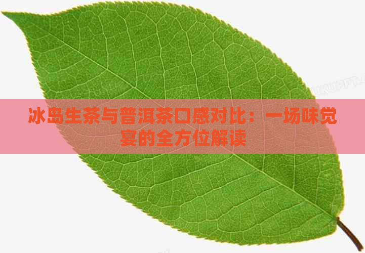 冰岛生茶与普洱茶口感对比：一场味觉宴的全方位解读