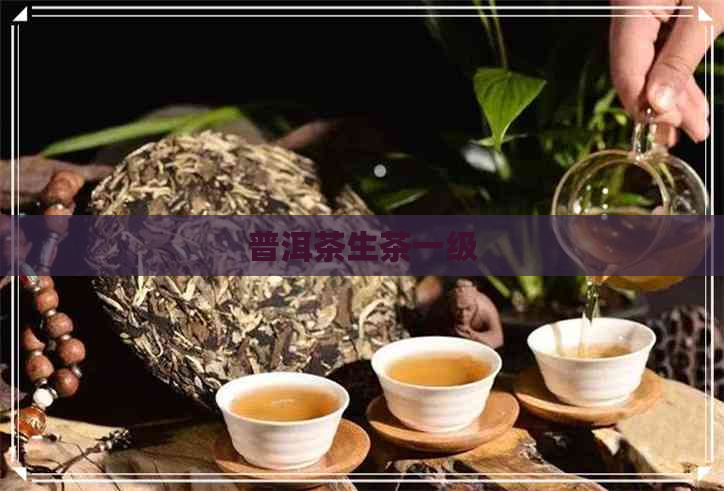 普洱茶生茶一级