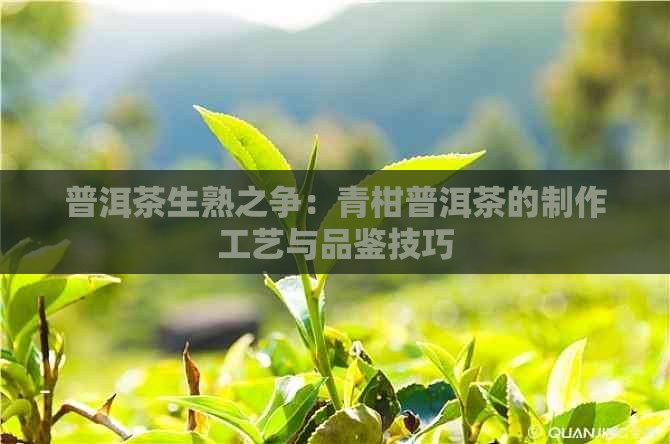 普洱茶生熟之争：青柑普洱茶的制作工艺与品鉴技巧