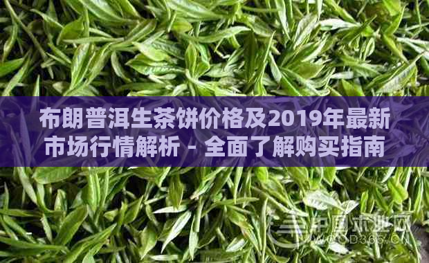 布朗普洱生茶饼价格及2019年最新市场行情解析 - 全面了解购买指南