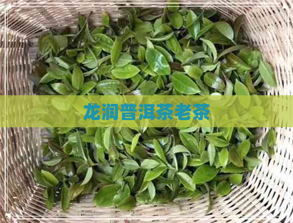 龙润普洱茶老茶