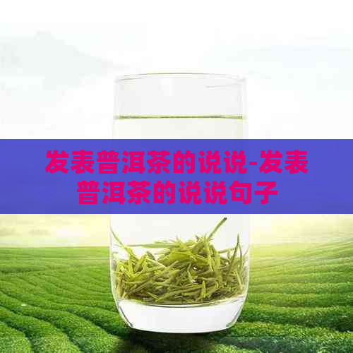 发表普洱茶的说说-发表普洱茶的说说句子