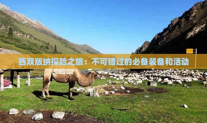 西双版纳探险之旅：不可错过的必备装备和活动