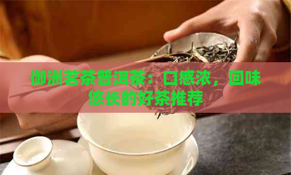 御洲茗茶普洱茶：口感浓，回味悠长的好茶推荐