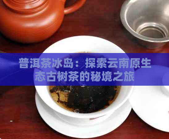 普洱茶冰岛：探索云南原生态古树茶的秘境之旅