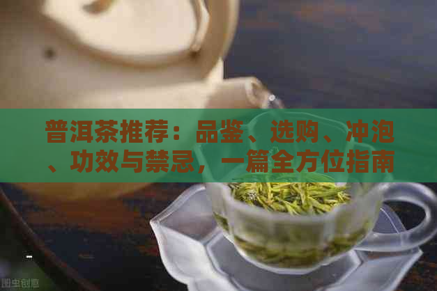 普洱茶推荐：品鉴、选购、冲泡、功效与禁忌，一篇全方位指南！