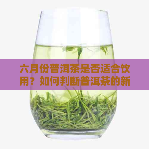 六月份普洱茶是否适合饮用？如何判断普洱茶的新度？