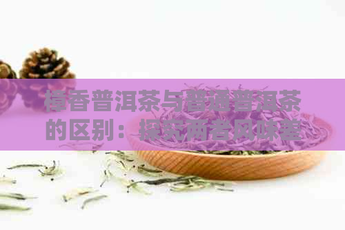 樟香普洱茶与普通普洱茶的区别：探究两者风味差异及其原因