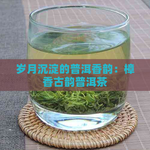 岁月沉淀的普洱香韵：樟香古韵普洱茶