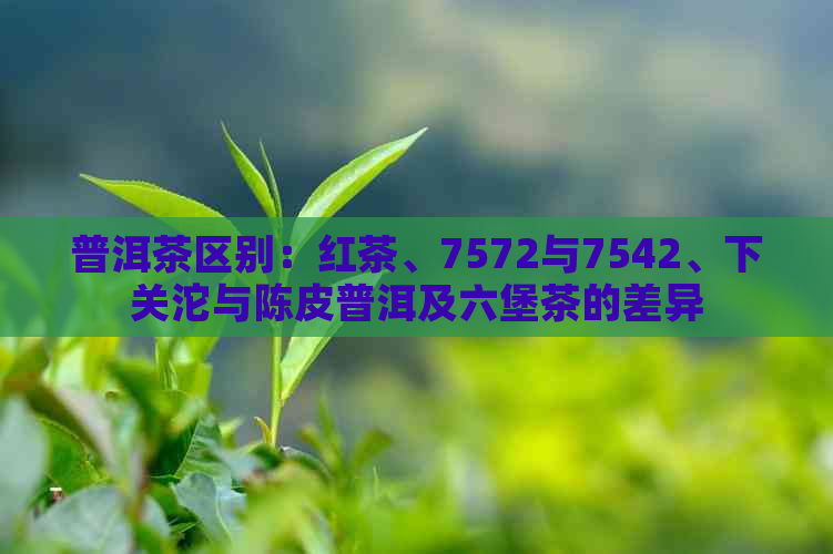 普洱茶区别：红茶、7572与7542、下关沱与陈皮普洱及六堡茶的差异