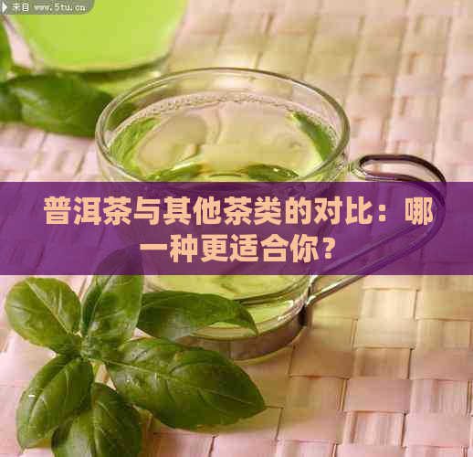 普洱茶与其他茶类的对比：哪一种更适合你？