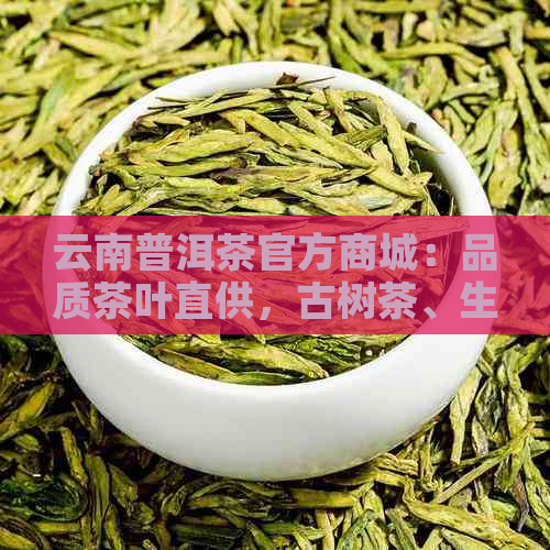 云南普洱茶官方商城：品质茶叶直供，古树茶、生茶、熟茶应有尽有