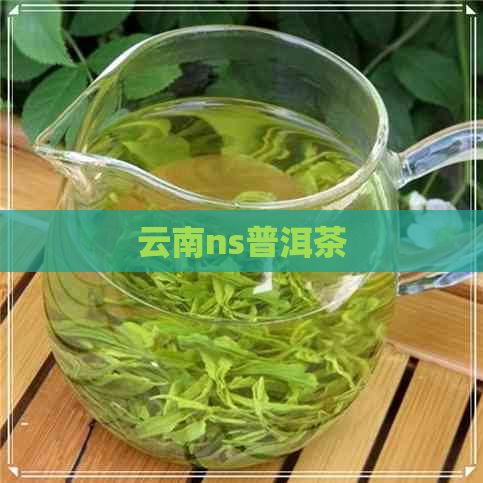 云南ns普洱茶