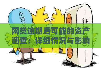 网贷逾期后可能的资产调查：详细情况与影响分析