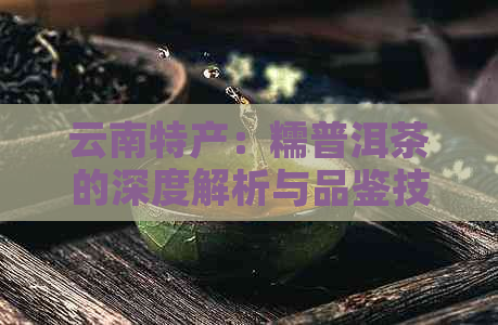 云南特产：糯普洱茶的深度解析与品鉴技巧