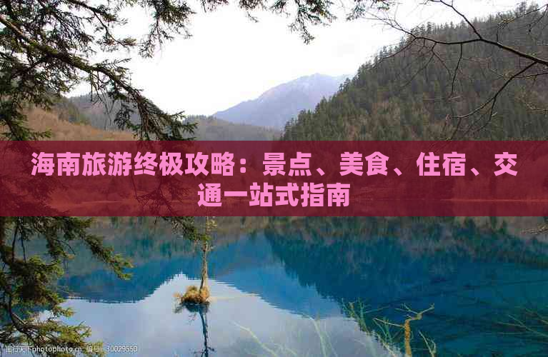 海南旅游终极攻略：景点、美食、住宿、交通一站式指南