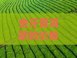 金牙普洱茶的价格解析：影响因素、市场行情及购买建议全方位解读